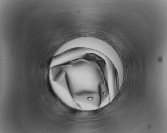 X0000100350129200807031823