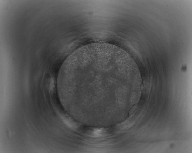 X0000100350130200807031823