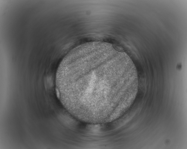 X0000100350131200807031823