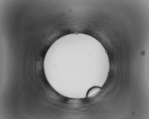 X0000100350133200807031823