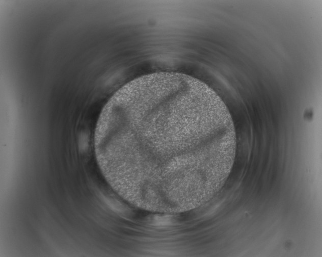 X0000100350134200807031823