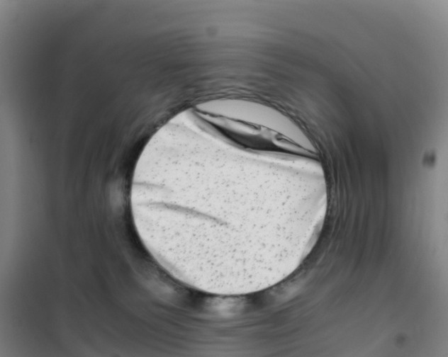 X0000100350135200807031823