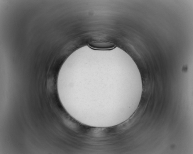 X0000100350136200807031823