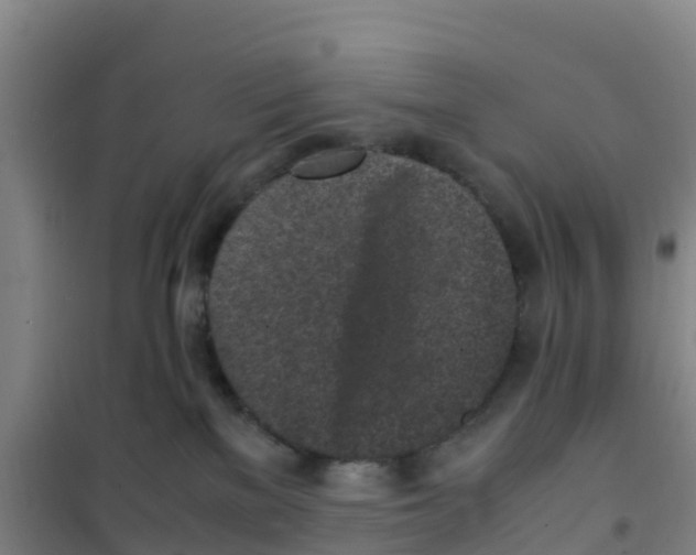 X0000100350137200807031823