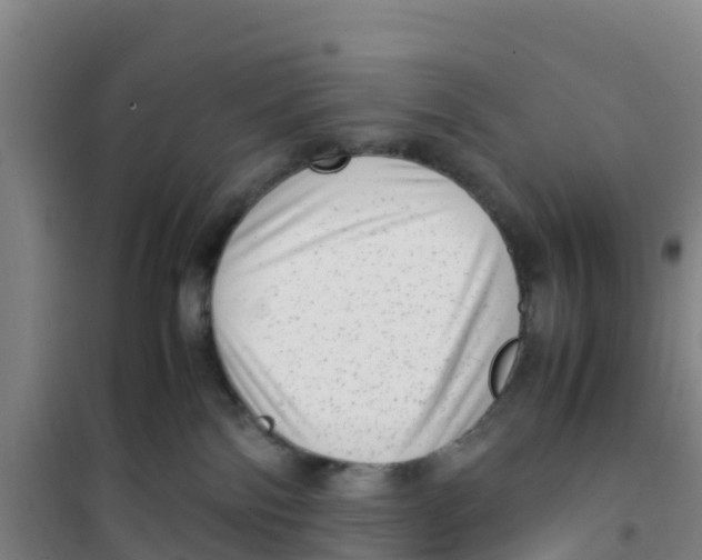 X0000100350138200807031823