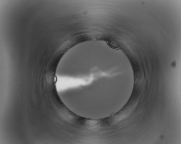 X0000100350139200807031823