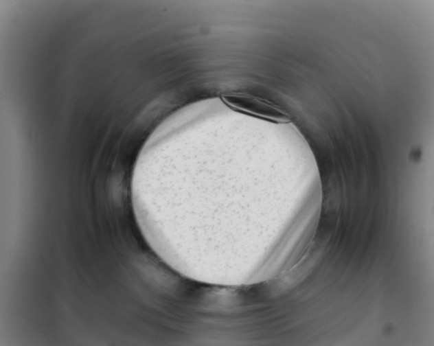 X0000100350140200807031823