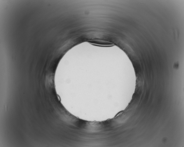 X0000100350141200807031823