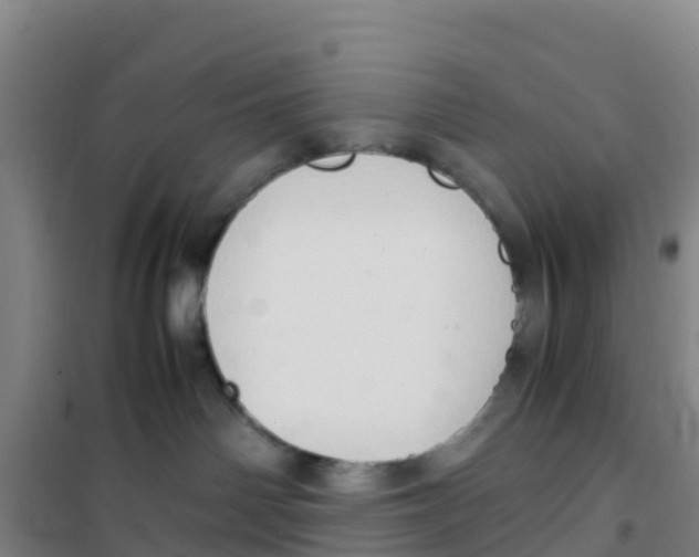 X0000100350142200807031823