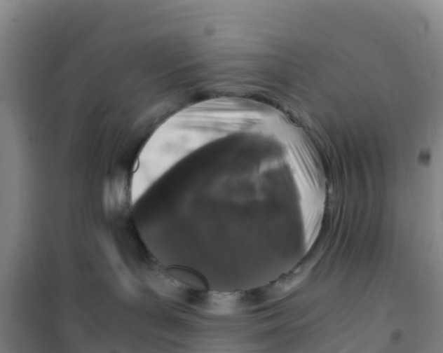 X0000100350143200807031823