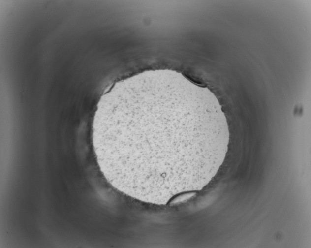 X0000100350144200807031823