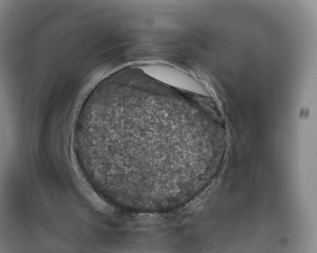 X0000100350145200807031822