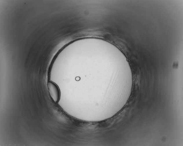 X0000100350148200807031822