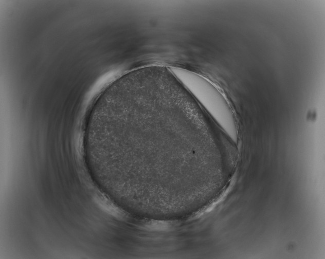 X0000100350149200807031822