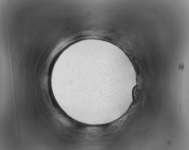 X0000100350150200807031822