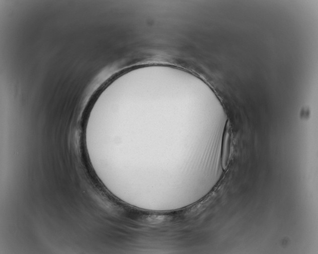 X0000100350152200807031822