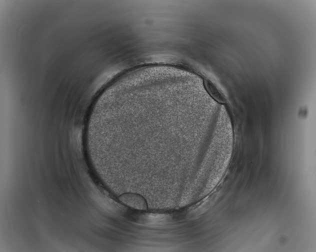 X0000100350154200807031822