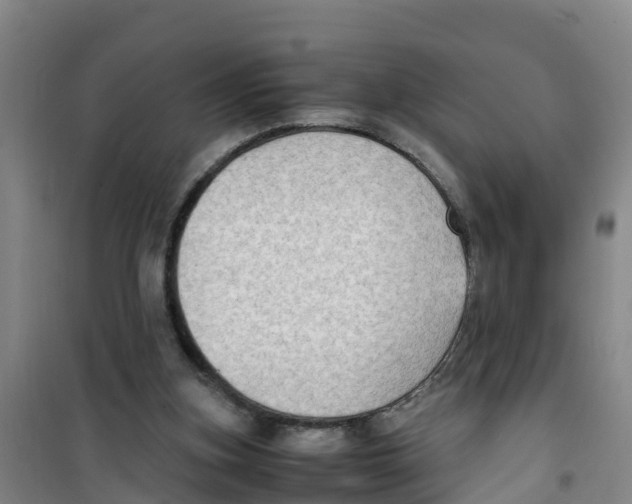 X0000100350155200807031822