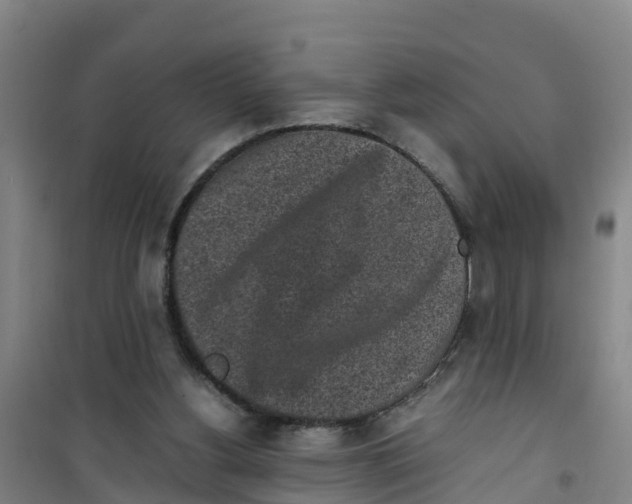 X0000100350156200807031822