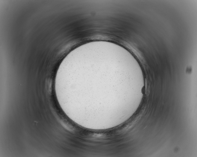 X0000100350157200807031822