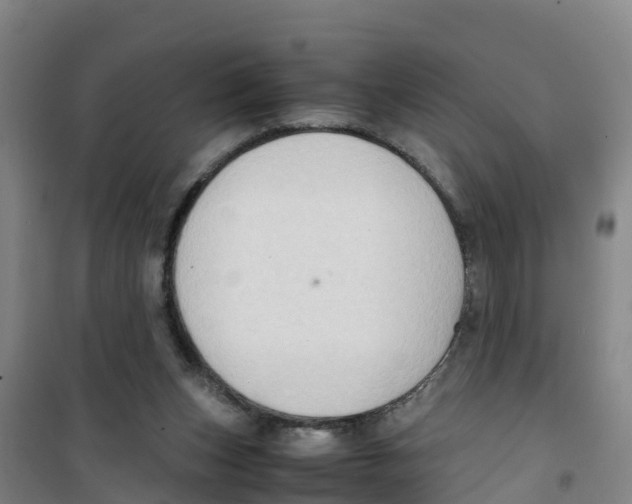 X0000100350159200807031822