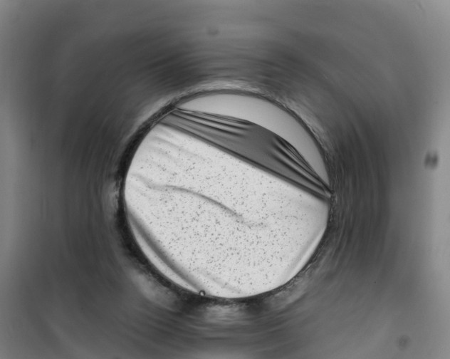 X0000100350160200807031822