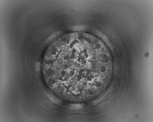 X0000100350161200807031822