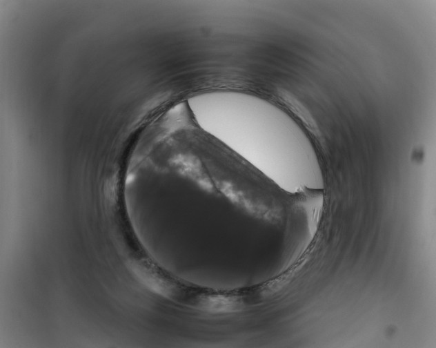 X0000100350163200807031822