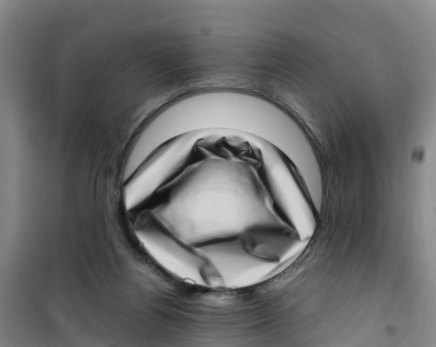 X0000100350164200807031822