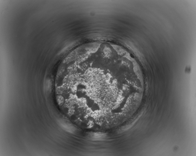 X0000100350165200807031822