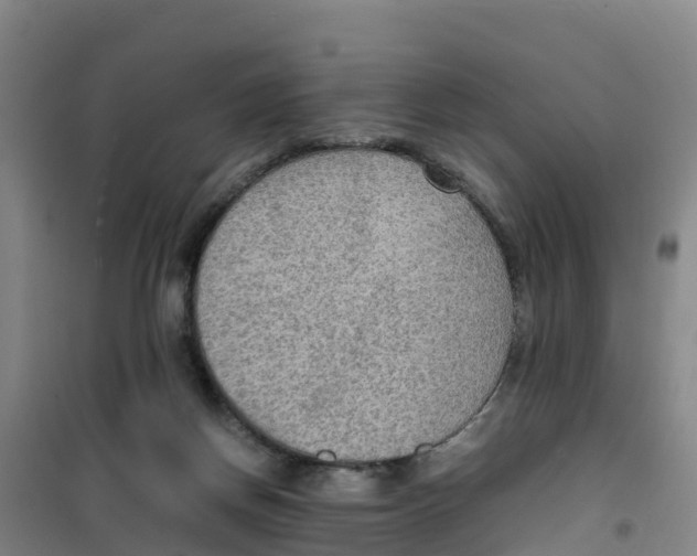 X0000100350166200807031822