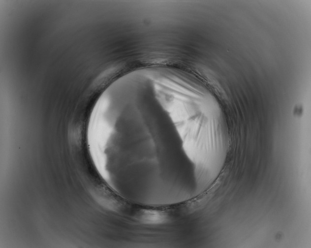 X0000100350167200807031822