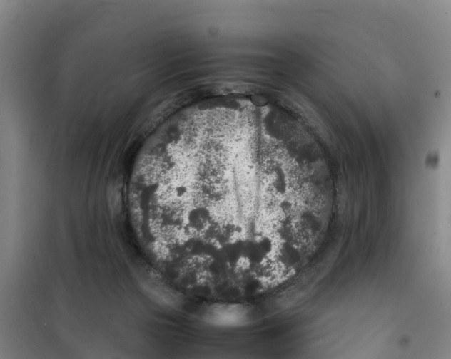 X0000100350169200807031822