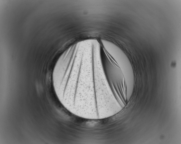 X0000100350172200807031822