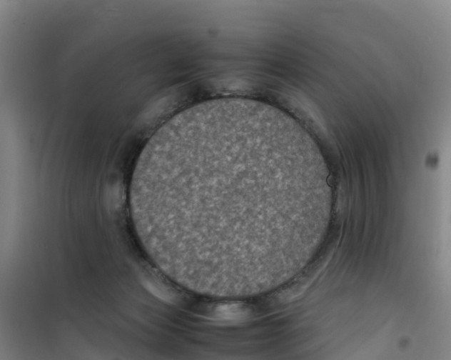 X0000100350173200807031822