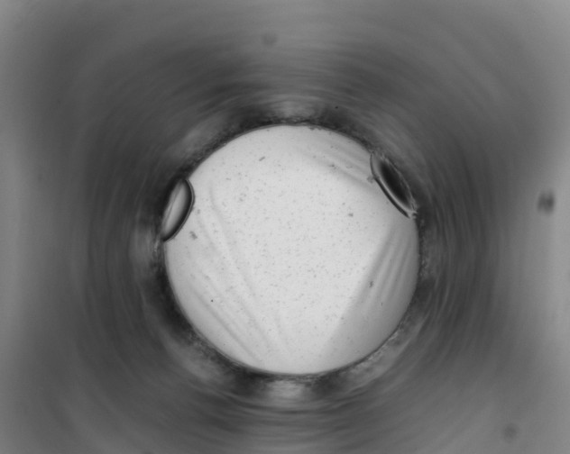 X0000100350176200807031822