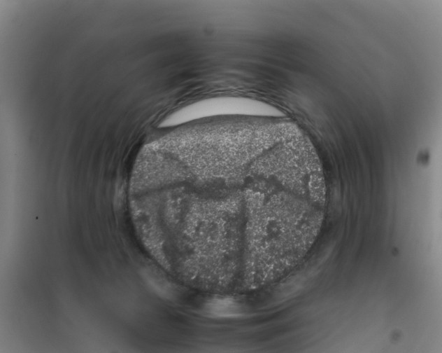 X0000100350177200807031822