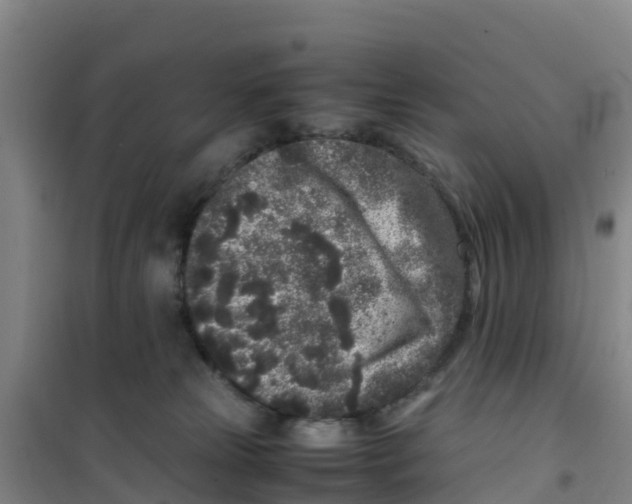 X0000100350181200807031822