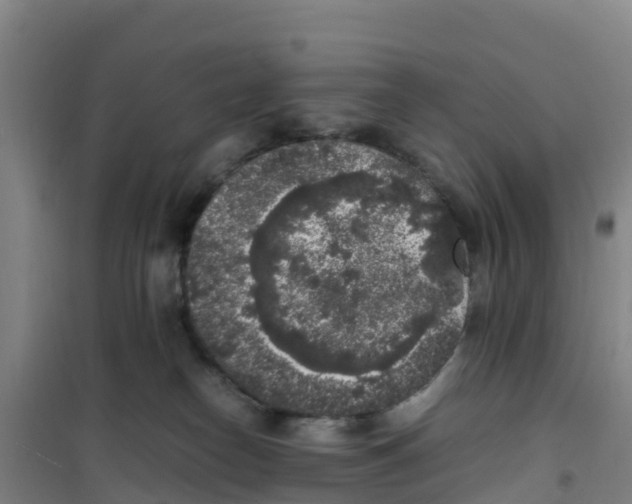 X0000100350182200807031822