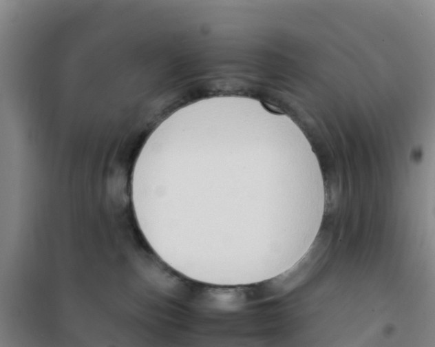 X0000100350187200807031823