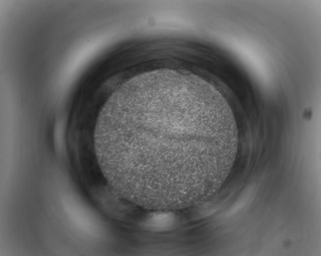 X0000100350189200807031823