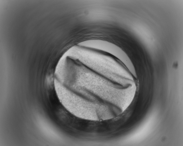 X0000100350190200807031823