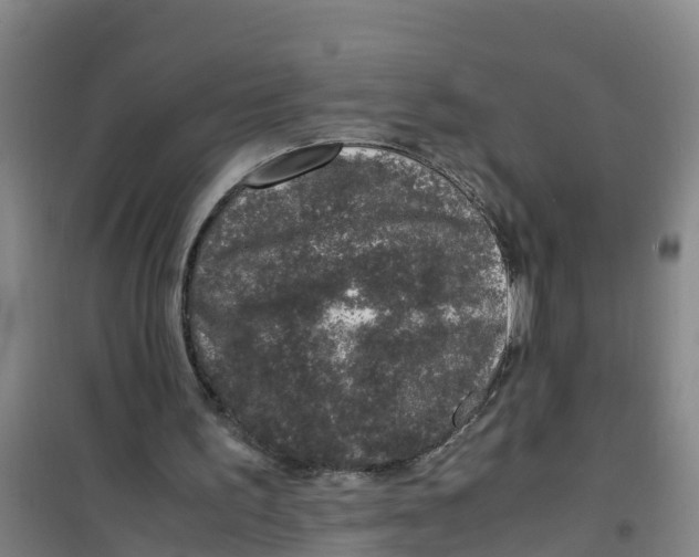 X0000100350195200807031822