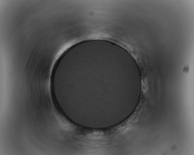 X0000100350196200807031822