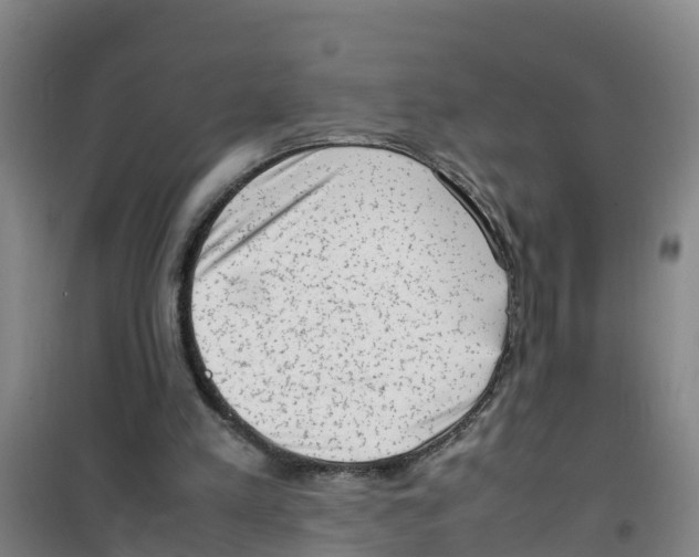 X0000100350197200807031822