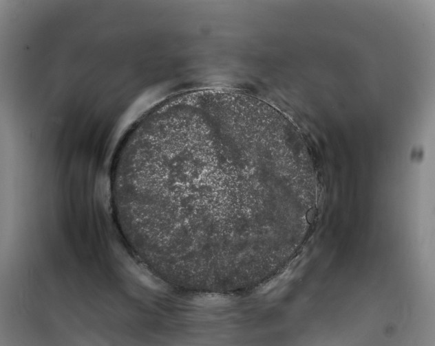 X0000100350198200807031822