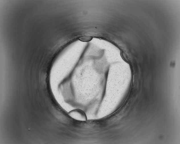 X0000100350201200807031822