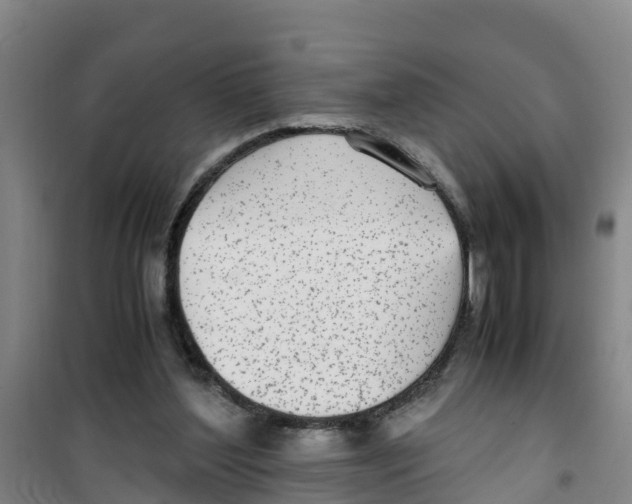 X0000100350204200807031822