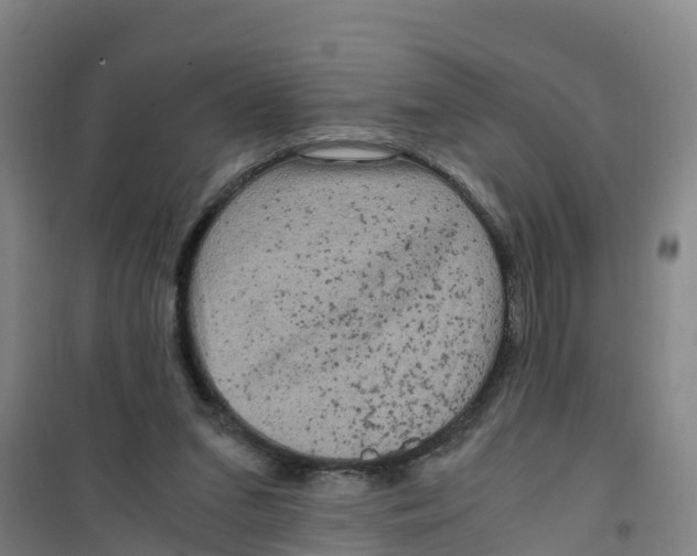 X0000100350207200807031822