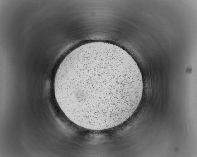 X0000100350208200807031822